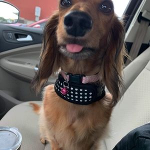 Meet your Posher, Sally